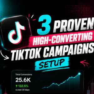 TikTok Campaign Setup